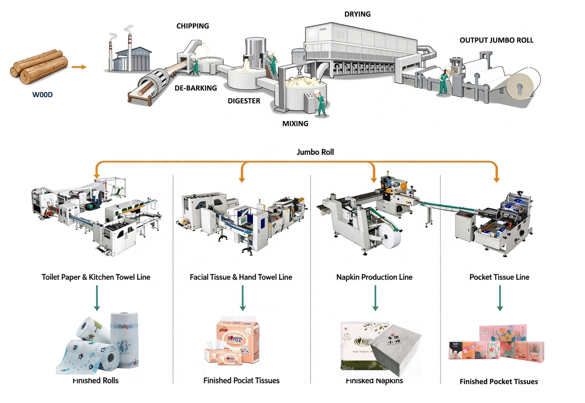 From wood to jumbo roll, then four converting lines producing finished toilet rolls and kitchen towels, facial tissues and hand towels, napkins and pocket tissues